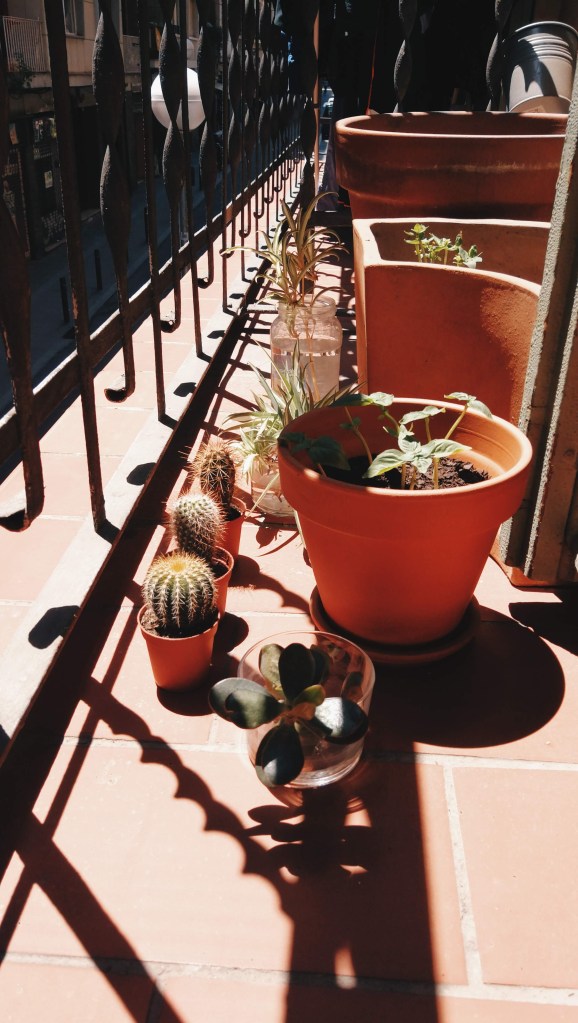 Processed with VSCO with hb2 preset